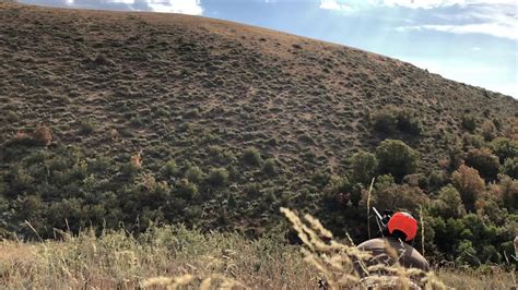 13 years ago Kevin came out and hunted elk with his sons. Since then he has been applying for one of the coveted New Mexico sheep tags. This was his year to hunt with his son Colton who tagged.... 