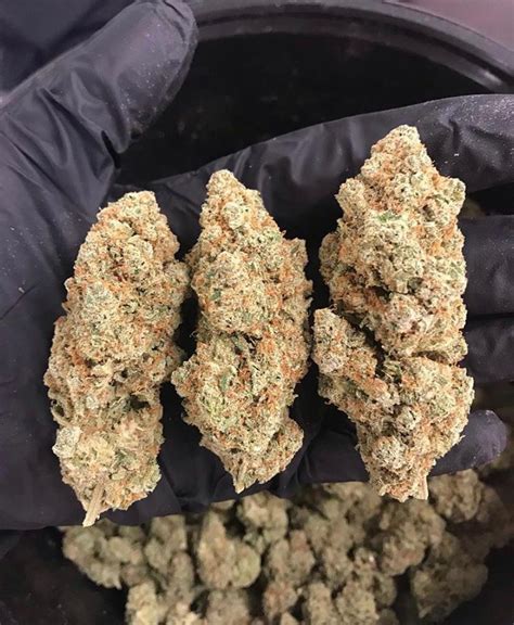 . Relaxed . Euphoric Negatives: Dry eyes . Anxious . Paranoid Helps with: Anxiety . Stress . Depression calming energizing low THC high THC White Runtz is a potent hybrid marijuana strain made by.... 