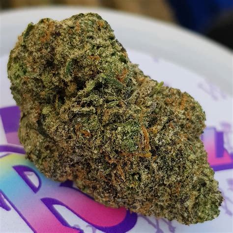 White runtz strain leafly. Frosted Runtz is a hybrid weed strain made from a genetic cross between Ice Cream Cake and White Runtz. This strain is 50% sativa and 50% indica. Frosted Runtz has a creamy and smooth smoke that ... 