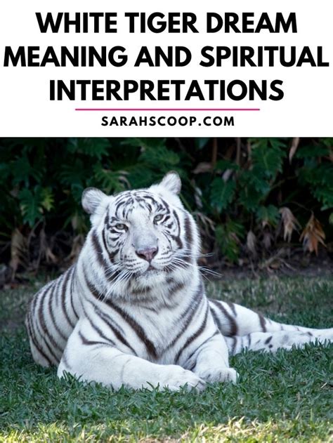 White tiger dream meaning islam. .  <a href=https://emplato.com/assets/images/kju...