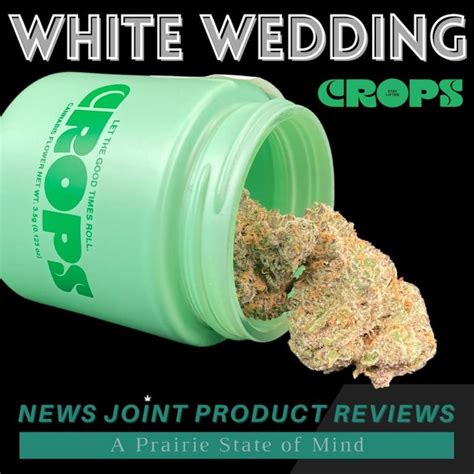 Euphoric. Dizzy. Headache. Stress. Depression. White Wedding is a hybrid weed strain made from a genetic cross between Wedding Cake and GSC. Bred by MSIKU, White Wedding is 25% THC, making this strain an ideal choice for experienced cannabis consumers. Leafly customers tell us White Wedding effects make them feel happy euphoric and talkative.
