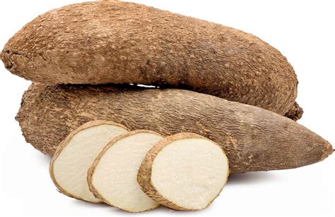 White yams. 8. Yam. A root vegetable often with brown or pinkish skin and white or purple flesh. He added butter and spices to the boiled yam. 4. Cassava. A root vegetable, primarily known for its starchy content. Cassava is a primary food source in many tropical regions. 5. 