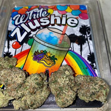 White zlushie strain. Yellow Zushi is a slightly indica dominant hybrid strain (60% indica/40% sativa) created through crossing the tasty Zkittlez X Kush Mints #6 strains. A beautiful bud with delightfully potent effects, Yellow Zushi is the perfect choice for any hybrid lover who appreciates an indica lean in their medicine. Like itsee name suggest, this bud has ... 