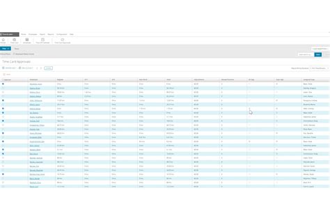 WhiteLabelling Online Payroll Software Best HR Tools