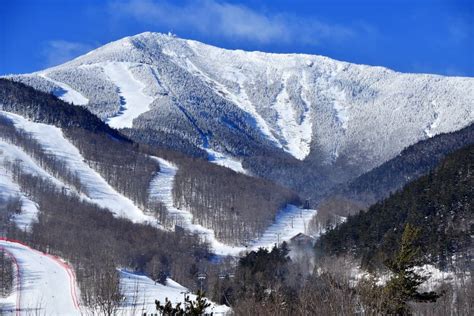 Whiteface mountain ski area. Whiteface Mountain 5021 Route 86 Wilmington, NY 12997 Get Directions. Lodge Daily ... 8:00am-4:30pm (518) 946-2223 (877) SKI-FACE Snow Report. RFID Direct-To-Lift ... 