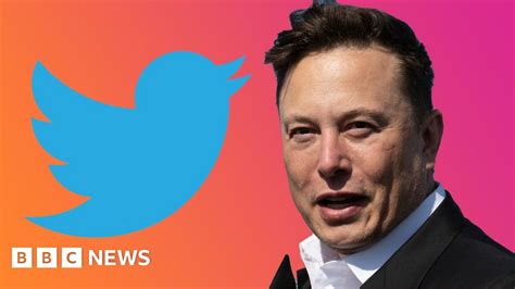 Who Could Replace Elon Musk as Twitter CEO?