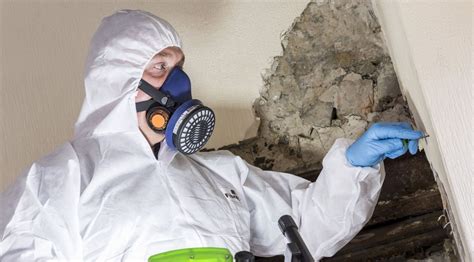 Who Else Wants To Know How Celebrities Choosing An Asbestos …