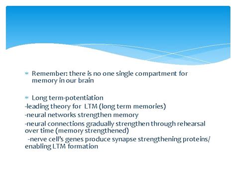 Who came up with tabula rasa