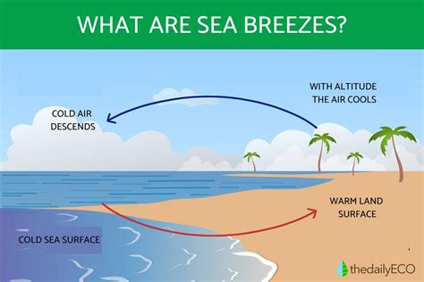 Who does sea breeze occur? - Daily Justnow