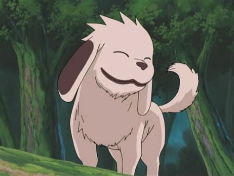 Who is Akamaru in Naruto 