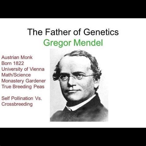 Who is considered the father of genetics?