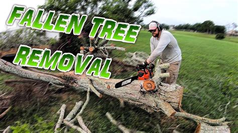 Who is responsible for fallen tree removal. Dealing with a fallen tree can be stressful and expensive. However, the right team of professionals can make removing a tree a straightforward process. This process starts with knowing who is responsible for fallen tree removal. For saving lightning-damaged trees, call Nature’s Tree Removal of Houston at (713) 824-9036 ! 