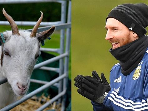 Who is the goat of soccer. Things To Know About Who is the goat of soccer. 