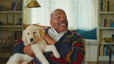 Who plays tv dad on progressive. by Chupa Cabra · 15th January 2023. Progressive has teamed up with Reginald VelJohnson for a new ad campaign, titled “TV Dad”. The actor stars in a series of commercials created like sitcom episodes in which he plays the “TV Dad”, who has all the answers and advises people to switch to Progressive in order to save hundreds of dollars. 