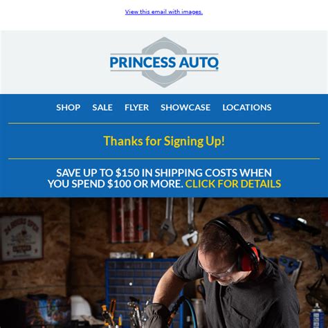 Whois princessauto.com