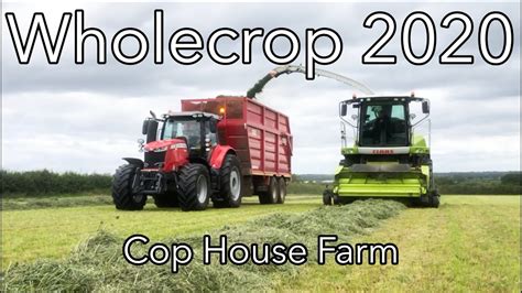 Wholecrop 2024 Cop House Farm - YouTube