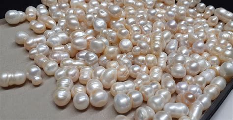 Wholesale Artificial Pearls ToMade