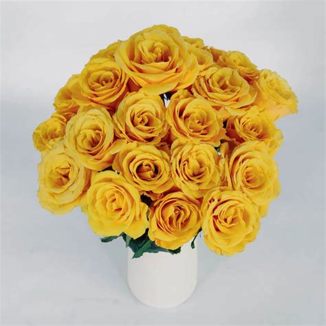 Wholesale Bumble Bee Rose ᐉ bulk Bumble Bee Rose online in …