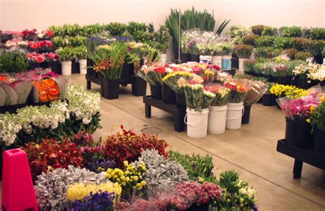 Wholesale Flowers in Sri Lanka: An Undying Bloom - Kapruka.com