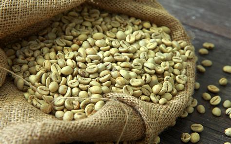 Wholesale Green Coffee Beans Green Coffee Beans for Sale - Kaldi