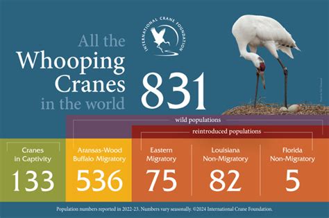 Whooping crane population graph.  Jul 14, 2025 · Learn about whooping c...