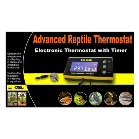 Why A Thermostat Is Necessary For A Bearded Dragon And How It …