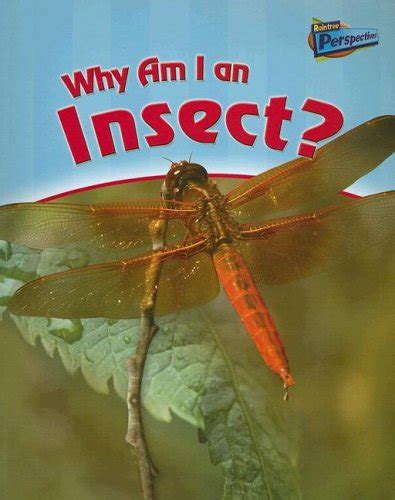 Why Am I An Insect Classifying Animals