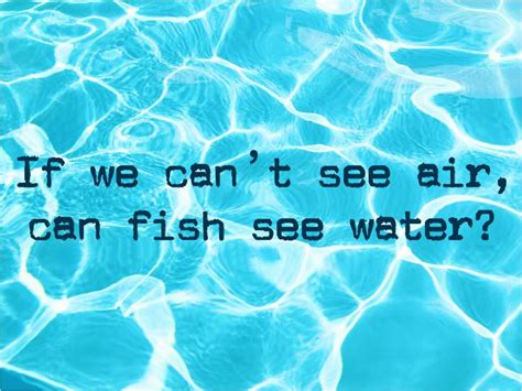 Why Can’t We See Air and Can A Fish See The Water?