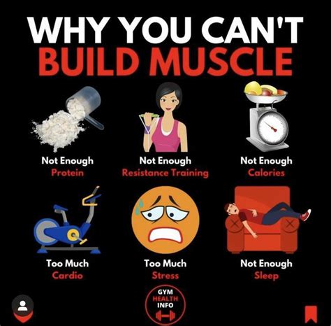 Why Can t I Build Muscle 