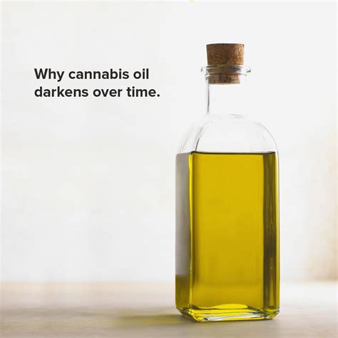 Why Cannabis Oil Darkens Over Time - Kurvana