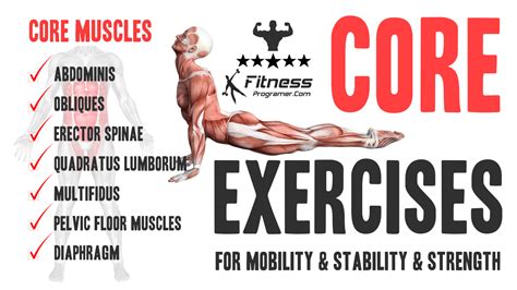 Why Core Muscles Are Important 5 Best Exercises to Build Core Muscles