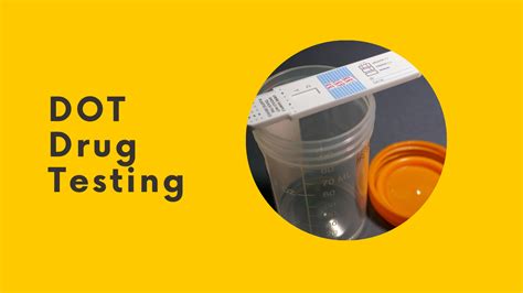 Why DOT Drug Testing is Essential for a Safe Workplace
