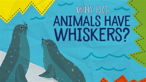 Why Do Animals Have Whiskers? Mental Floss