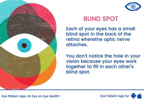 Why Do I Have a Blind Spot in My Vision? What to Know About