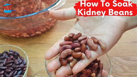 Why Do Kidney Beans Swell In Water? - Sweetish Hill