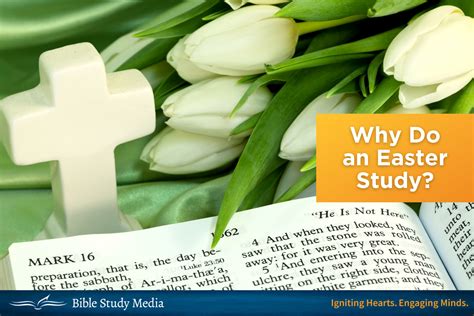 Why Do an Easter Study? Devotional Bible Study Media