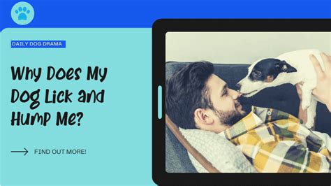 Why Does My Dog Lick and Hump Me? 7 Solutions