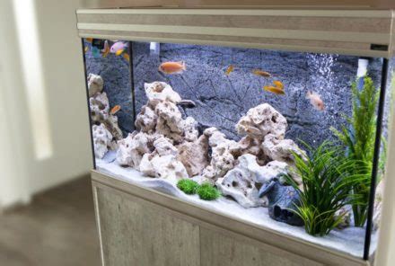 Why Does My Fish Tank Smell? 7 Common Reasons Explained