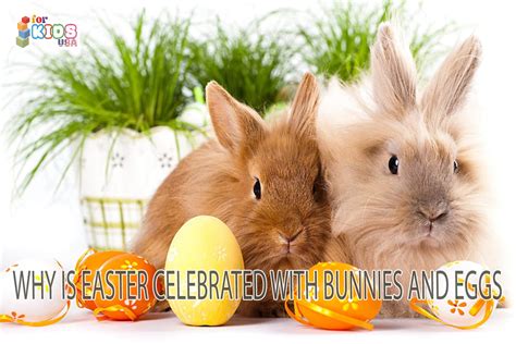 Why Easter is celebrated with bunnies and egg hunts - History