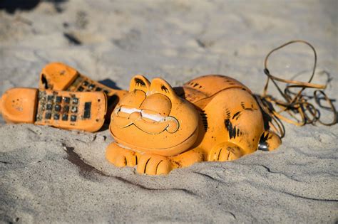 Why Have Garfield Phones Been Washing Ashore in France for 30 …