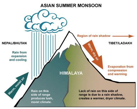 Why Himalayasin this regard.are called perfect climate divide? Explain ...