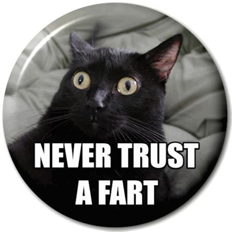 Why I Never Trust a Fart - medium.com