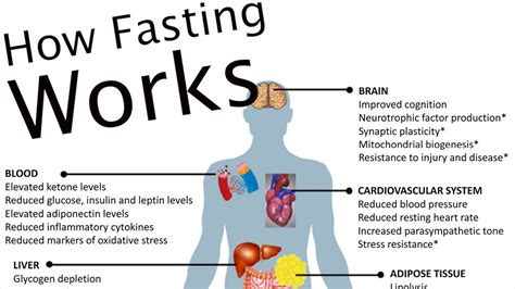 Why Intermittent Fasting Works How To Do It