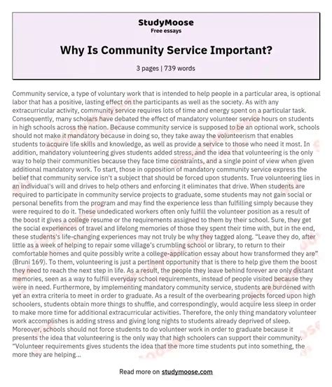 Why Is Community Service Important? Free Essay Example