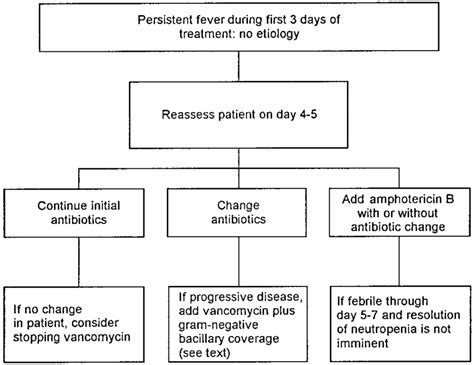 Why Is Fever Still Persistent While On Antibiotic Treatment