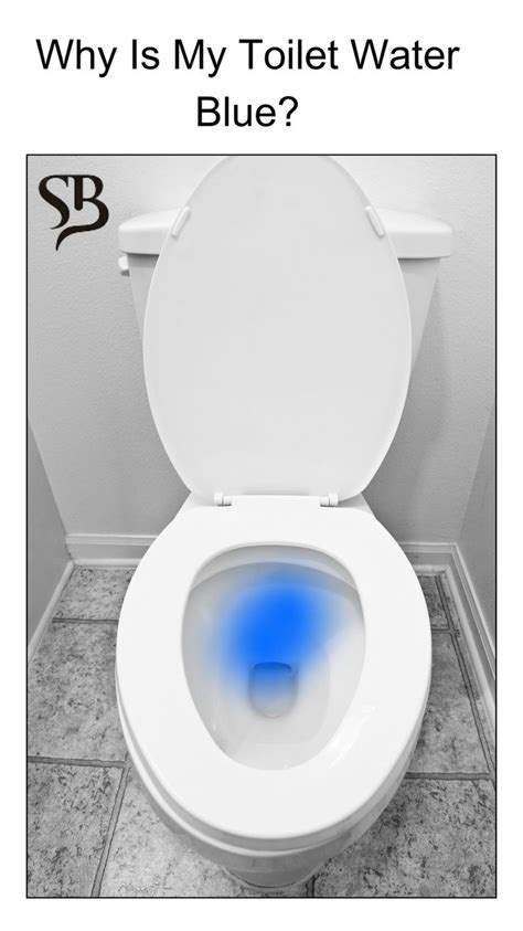 Why Is My Toilet Water Blue? - Bomisch