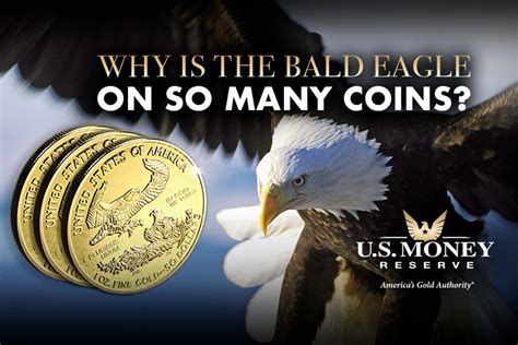 Why Is the Bald Eagle on So Many Coins? U.S. Money Reserve