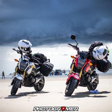 Why Is the Tiny Honda Grom so Popular? - MotorBiscuit