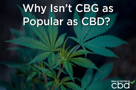 Why Isn’t CBG as Popular as CBD?