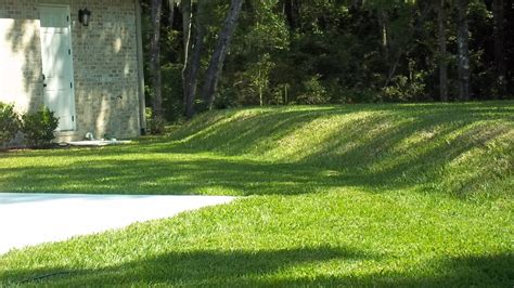 Why Lush, Green Grass Near Your Septic Tank Isn’t a Good Thing